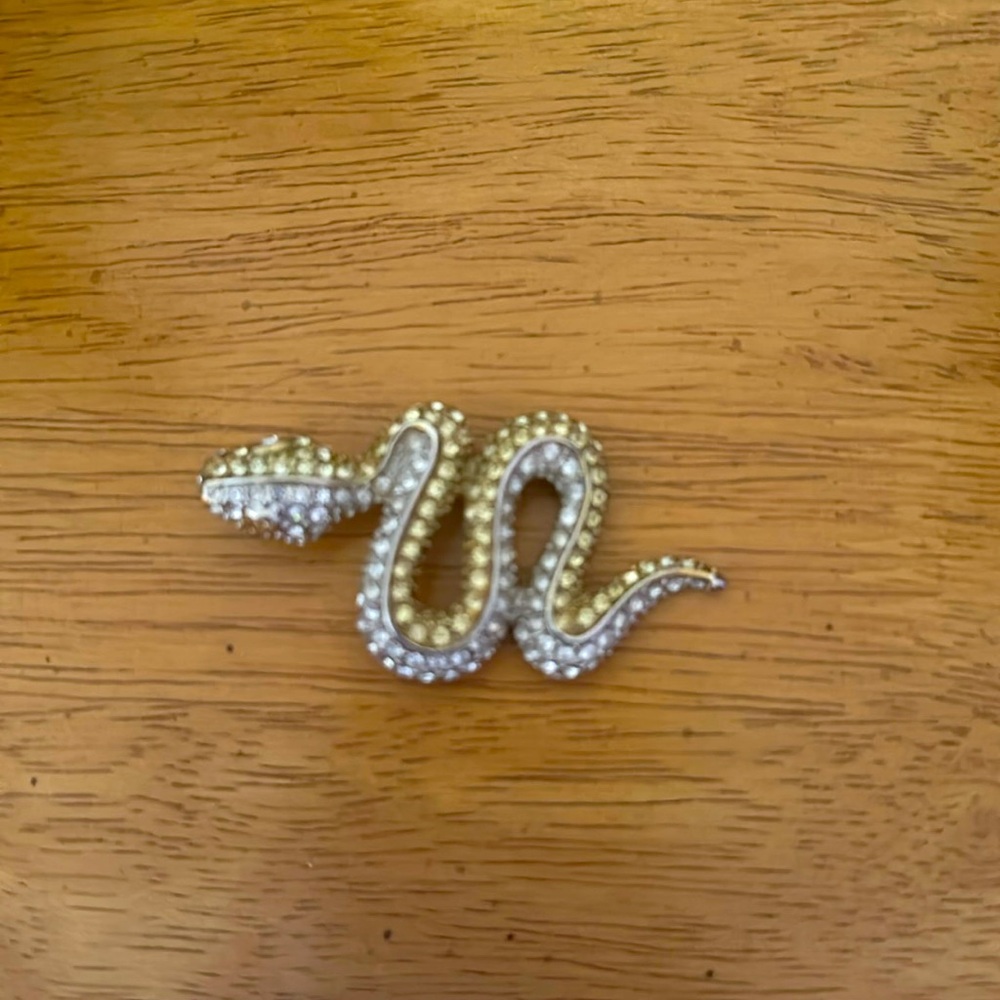 Snake Brooch